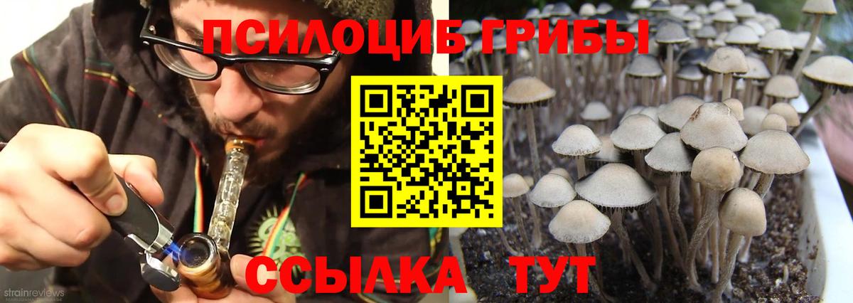 Вышний Волочёк  Галлюциногенные грибы Psilocybe  Вход с VPN  Псилоцибиновые грибы ЛСД 
